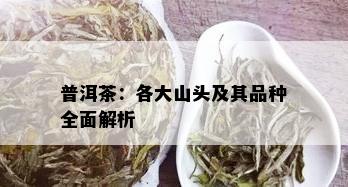 普洱茶：各大山头及其品种全面解析