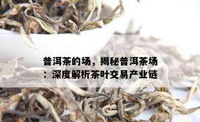 普洱茶的场，揭秘普洱茶场：深度解析茶叶交易产业链