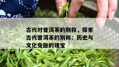 古代对普洱茶的别称，探索古代普洱茶的别称：历史与文化交融的瑰宝