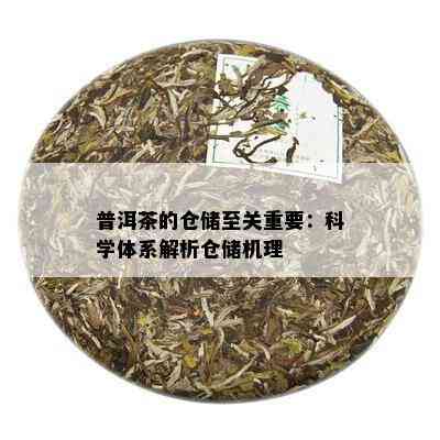 普洱茶的仓储至关重要：科学体系解析仓储机理