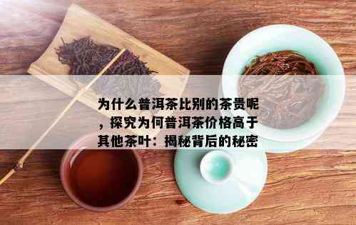 为什么普洱茶比别的茶贵呢，探究为何普洱茶价格高于其他茶叶：揭秘背后的秘密