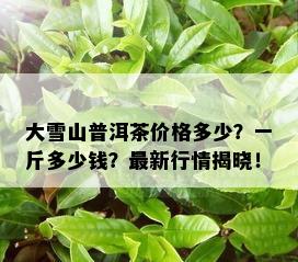 大雪山普洱茶价格多少？一斤多少钱？最新行情揭晓！