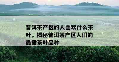 普洱茶产区的人喜欢什么茶叶，揭秘普洱茶产区人们的更爱茶叶品种