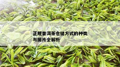 正规普洱茶仓储方式的种类与图片全解析