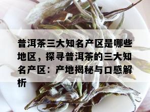 普洱茶三大知名产区是哪些地区，探寻普洱茶的三大知名产区：产地揭秘与口感解析