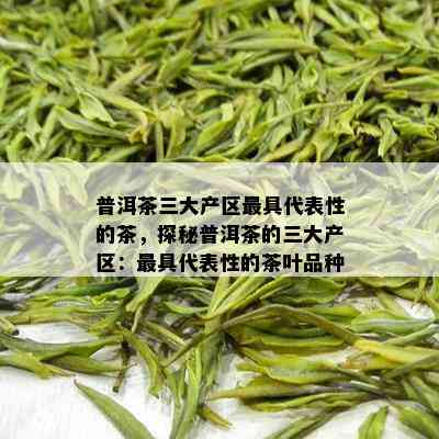 普洱茶三大产区更具代表性的茶，探秘普洱茶的三大产区：更具代表性的茶叶品种