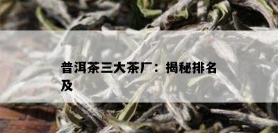 普洱茶三大茶厂：揭秘排名及