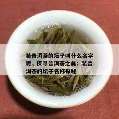 装普洱茶的坛子叫什么名字呢，探寻普洱茶之美：装普洱茶的坛子名称探秘