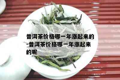 普洱茶价格哪一年涨起来的-普洱茶价格哪一年涨起来的呢