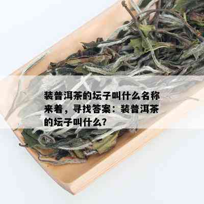 装普洱茶的坛子叫什么名称来着，寻找答案：装普洱茶的坛子叫什么？