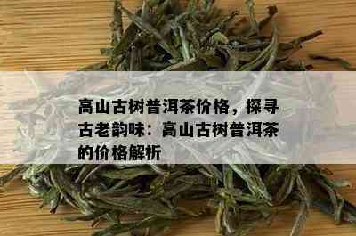 高山古树普洱茶价格，探寻古老韵味：高山古树普洱茶的价格解析