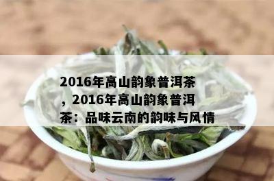 2016年高山韵象普洱茶，2016年高山韵象普洱茶：品味云南的韵味与风情