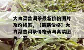 大白菜普洱茶最新价格图片及价格表，【最新价格】大白菜普洱茶价格表与高清图片一览