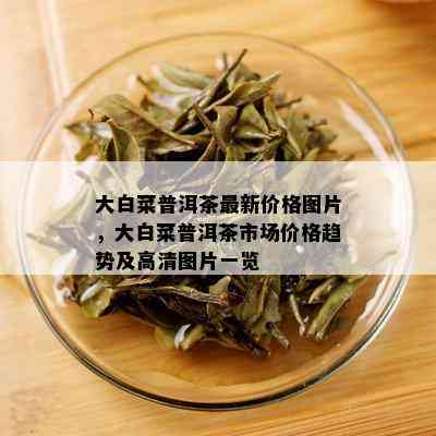 大白菜普洱茶最新价格图片，大白菜普洱茶市场价格趋势及高清图片一览