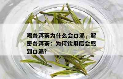 喝普洱茶为什么会口渴，解密普洱茶：为何饮用后会感到口渴？