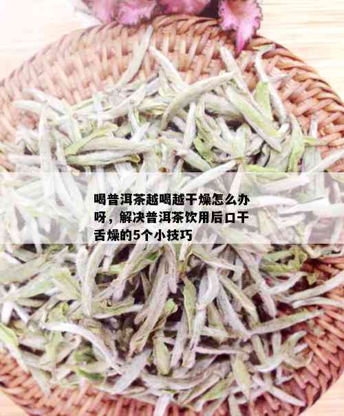 喝普洱茶越喝越干燥怎么办呀，解决普洱茶饮用后口干舌燥的5个小技巧