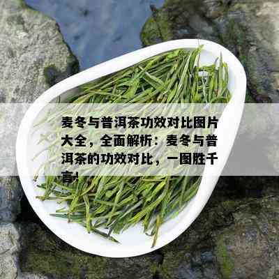 麦冬与普洱茶功效对比图片大全，全面解析：麦冬与普洱茶的功效对比，一图胜千言！