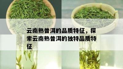 云南熟普洱的品质特征，探索云南熟普洱的独特品质特征