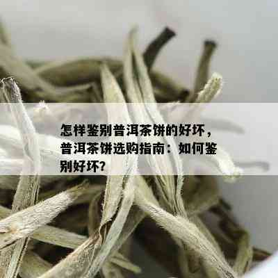 怎样鉴别普洱茶饼的好坏，普洱茶饼选购指南：如何鉴别好坏？