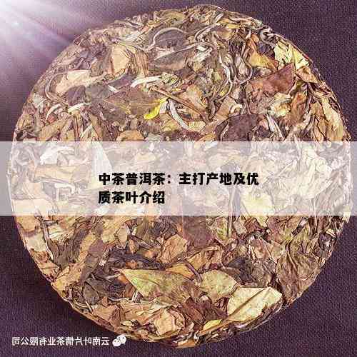 中茶普洱茶：主打产地及优质茶叶介绍