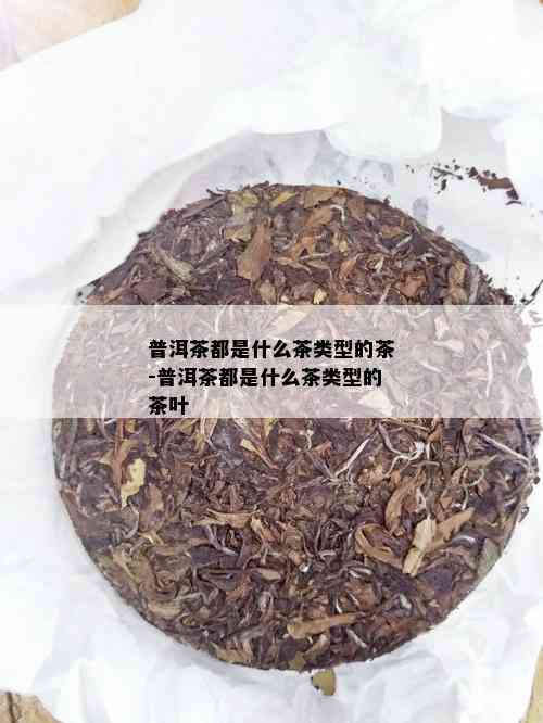 普洱茶都是什么茶类型的茶-普洱茶都是什么茶类型的茶叶