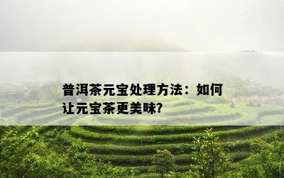 普洱茶元宝处理方法：如何让元宝茶更美味？