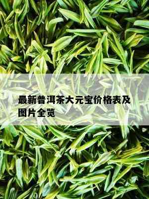 最新普洱茶大元宝价格表及图片全览