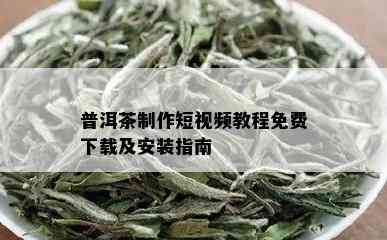 普洱茶制作短视频教程免费下载及安装指南