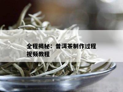 全程揭秘：普洱茶制作过程视频教程