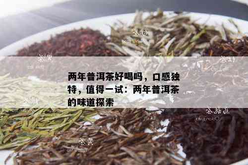 两年普洱茶好喝吗，口感独特，值得一试：两年普洱茶的味道探索