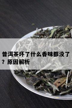 普洱茶坏了什么香味都没了？原因解析