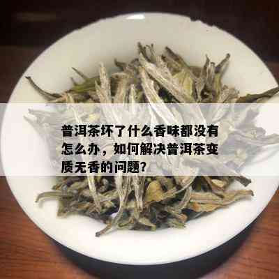 普洱茶坏了什么香味都没有怎么办，如何解决普洱茶变质无香的问题？