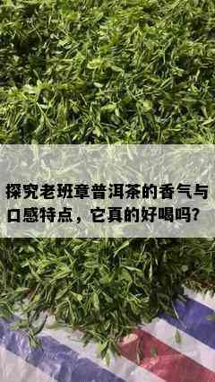 探究老班章普洱茶的香气与口感特点，它真的好喝吗？