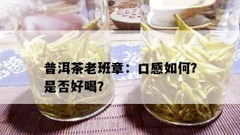 普洱茶老班章：口感如何？是否好喝？