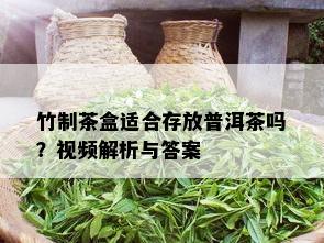 竹制茶盒适合存放普洱茶吗？视频解析与答案