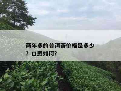 两年多的普洱茶价格是多少？口感如何？