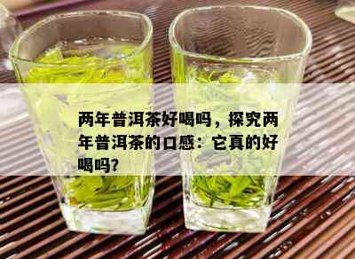 两年普洱茶好喝吗，探究两年普洱茶的口感：它真的好喝吗？