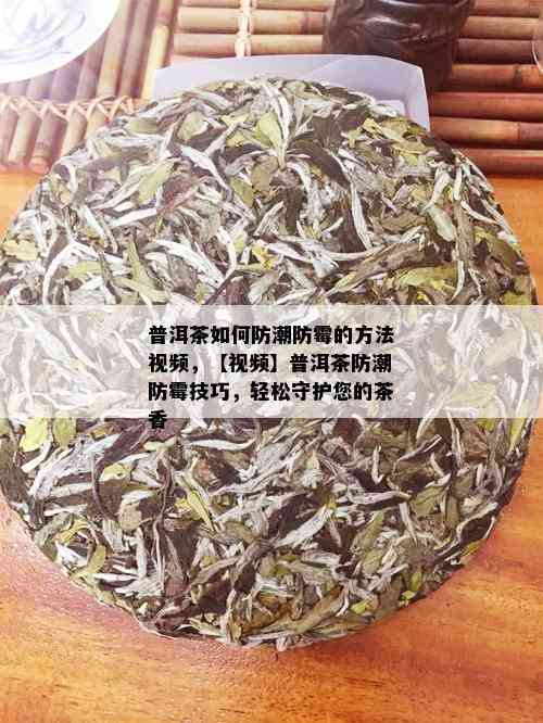 普洱茶如何防潮防霉的方法视频，【视频】普洱茶防潮防霉技巧，轻松守护您的茶香