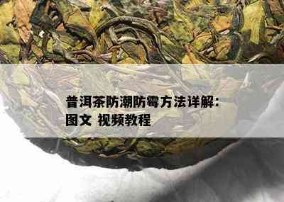 普洱茶防潮防霉方法详解：图文 视频教程