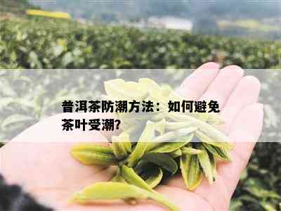 普洱茶防潮方法：如何避免茶叶受潮？