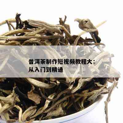 普洱茶制作短视频教程大：从入门到精通