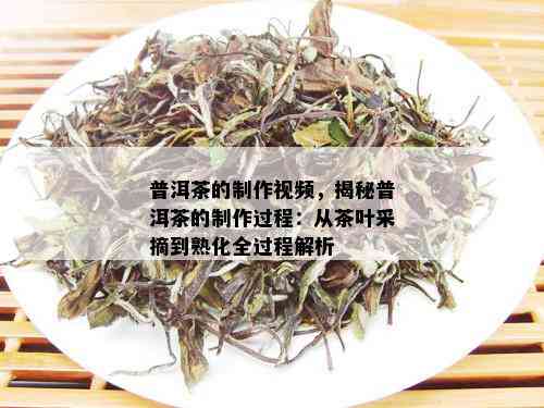 普洱茶的制作视频，揭秘普洱茶的制作过程：从茶叶采摘到熟化全过程解析