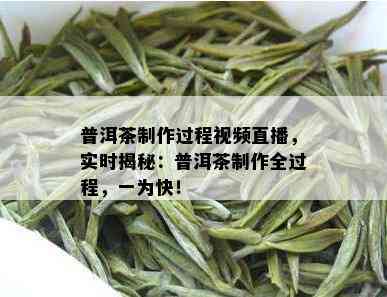 普洱茶制作过程视频直播，实时揭秘：普洱茶制作全过程，一为快！