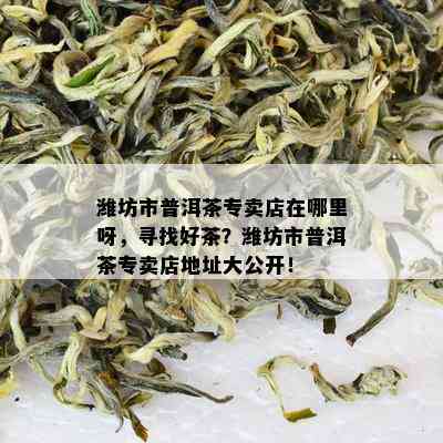 潍坊市普洱茶专卖店在哪里呀，寻找好茶？潍坊市普洱茶专卖店地址大公开！