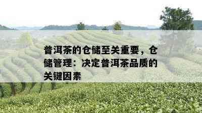 普洱茶的仓储至关重要，仓储管理：决定普洱茶品质的关键因素