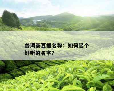 普洱茶直播名称：如何起个好听的名字？