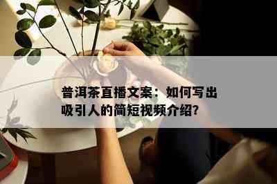 普洱茶直播文案：如何写出吸引人的简短视频介绍？