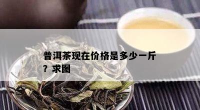 普洱茶现在价格是多少一斤？求图