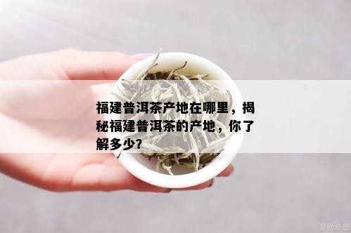 福建普洱茶产地在哪里，揭秘福建普洱茶的产地，你了解多少？