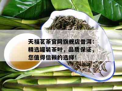 天福茗茶官网旗舰店普洱：精选罐装茶叶，品质保证，您值得信赖的选择！